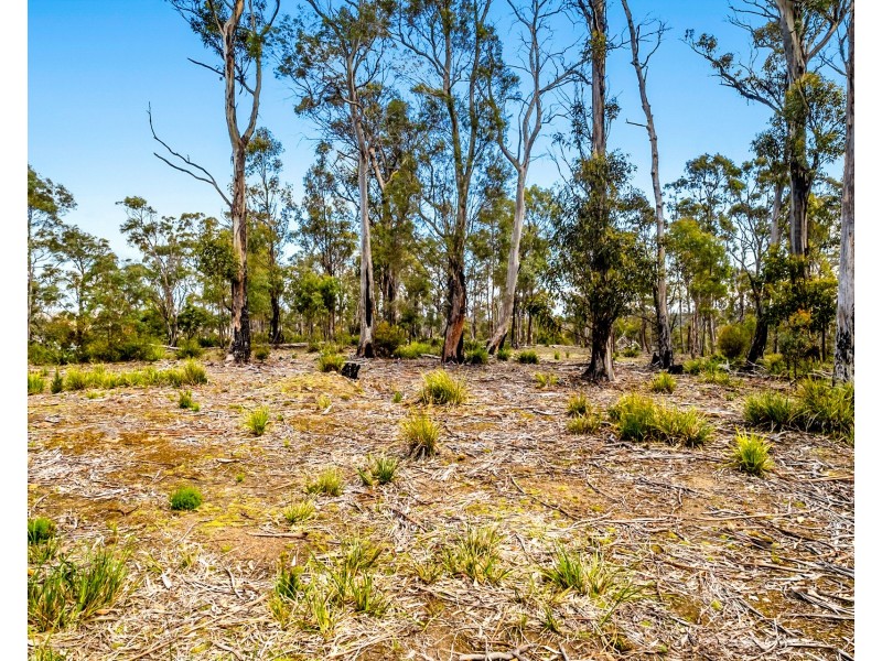 Lot 5 White Hill Road, Forcett TAS 7173