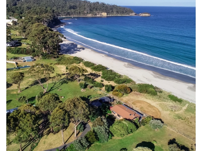 433 Pirates Bay Drive, Eaglehawk Neck TAS 7179