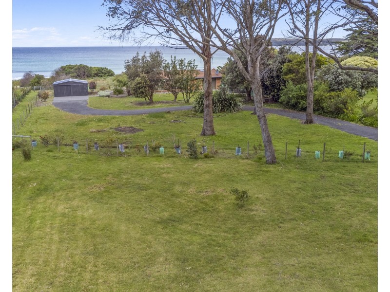 433 Pirates Bay Drive, Eaglehawk Neck TAS 7179