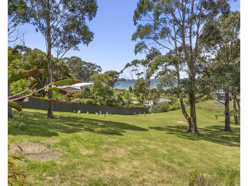 433 Pirates Bay Drive, Eaglehawk Neck TAS 7179