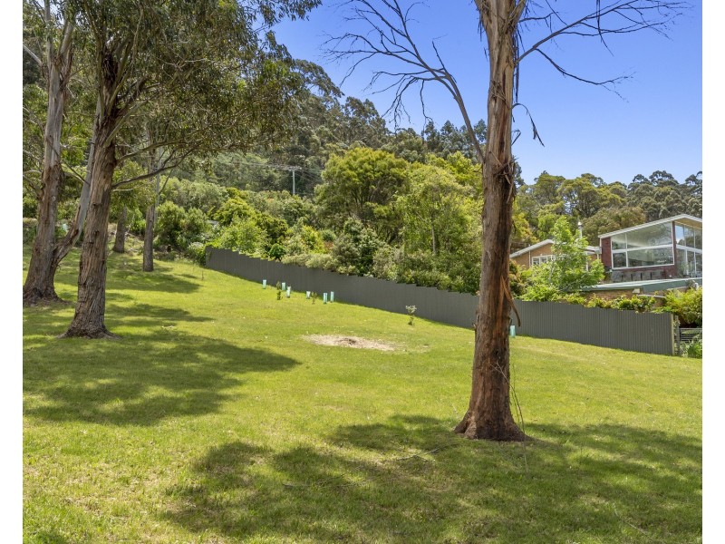 433 Pirates Bay Drive, Eaglehawk Neck TAS 7179