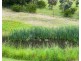 485 Carlton River Road, Carlton River TAS 7173