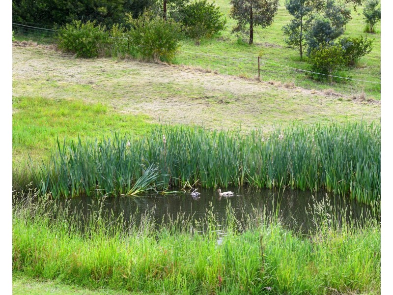 485 Carlton River Road, Carlton River TAS 7173
