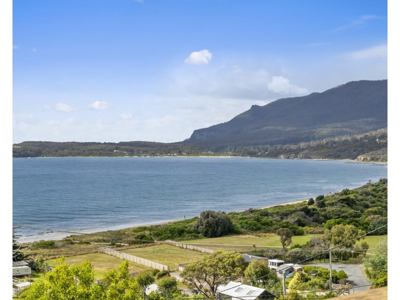 4 Hawks Lane, Eaglehawk Neck TAS 7179