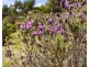 127 Sommers Bay Road, Murdunna TAS 7178