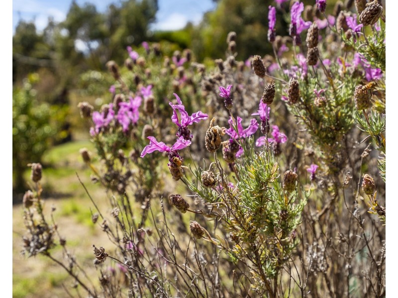 127 Sommers Bay Road, Murdunna TAS 7178