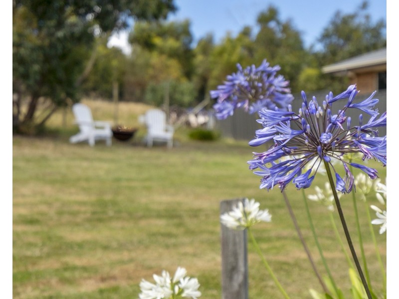 119 Sommers Bay Road, Murdunna TAS 7178