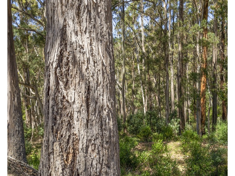 310 Cooks Road, Nubeena TAS 7184