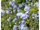 43 Tiger Head Road, Dodges Ferry TAS 7173