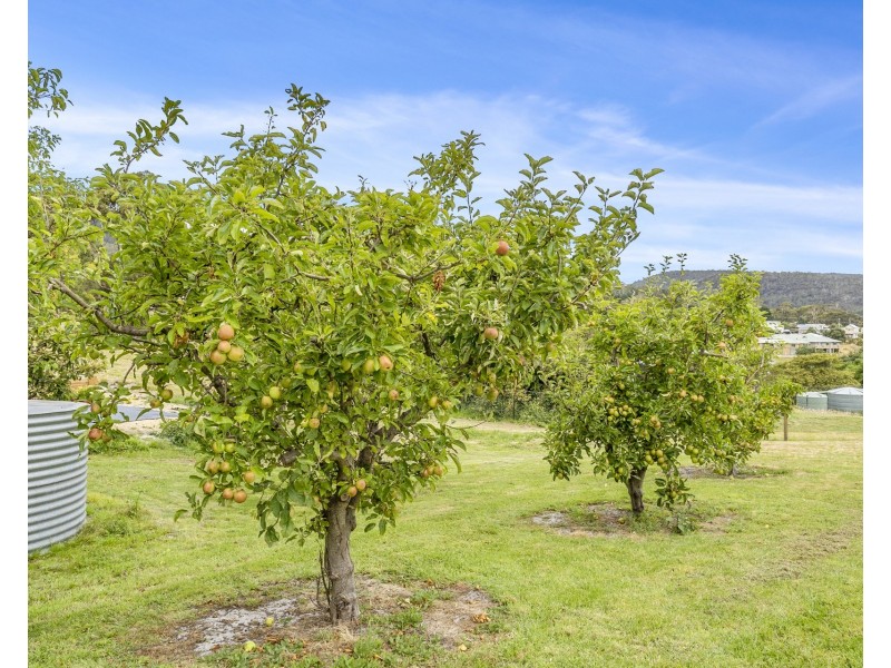 10 Kormos Drive, Nubeena TAS 7184