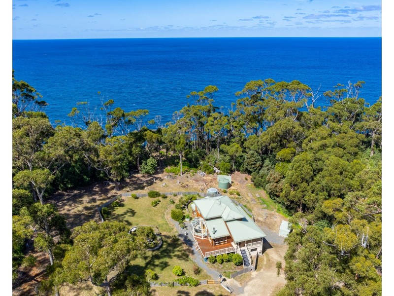 13 Osprey Road, Eaglehawk Neck TAS 7179