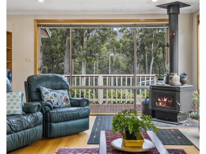 13 Osprey Road, Eaglehawk Neck TAS 7179