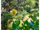 167 Grooms Hill Road, Koonya TAS 7187