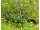167 Grooms Hill Road, Koonya TAS 7187