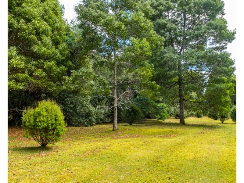 167 Grooms Hill Road, Koonya TAS 7187