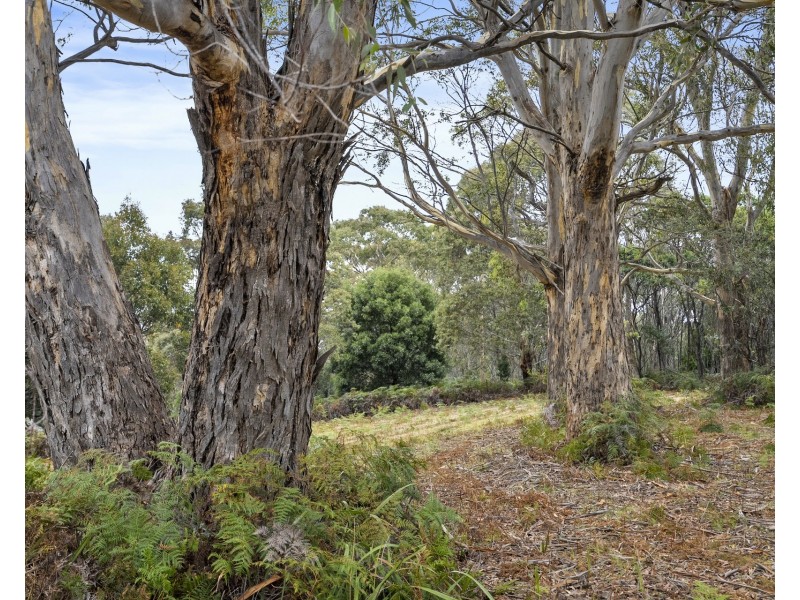 669 Dam Road, Nubeena TAS 7184