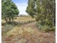 669 Dam Road, Nubeena TAS 7184