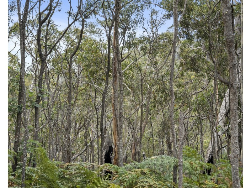 669 Dam Road, Nubeena TAS 7184