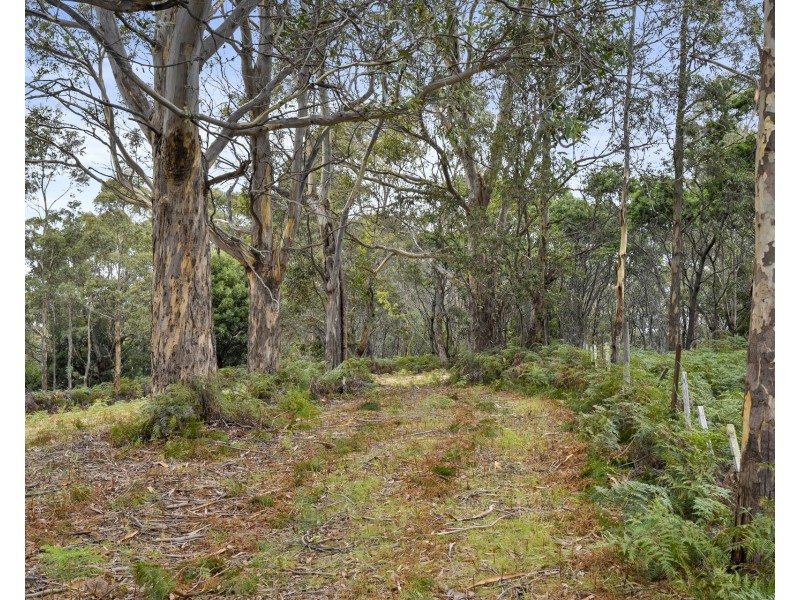 669 Dam Road, Nubeena TAS 7184