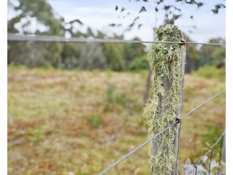 669 Dam Road, Nubeena TAS 7184