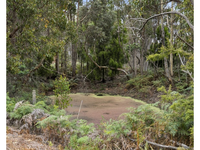 669 Dam Road, Nubeena TAS 7184