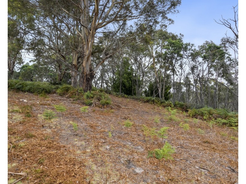 669 Dam Road, Nubeena TAS 7184