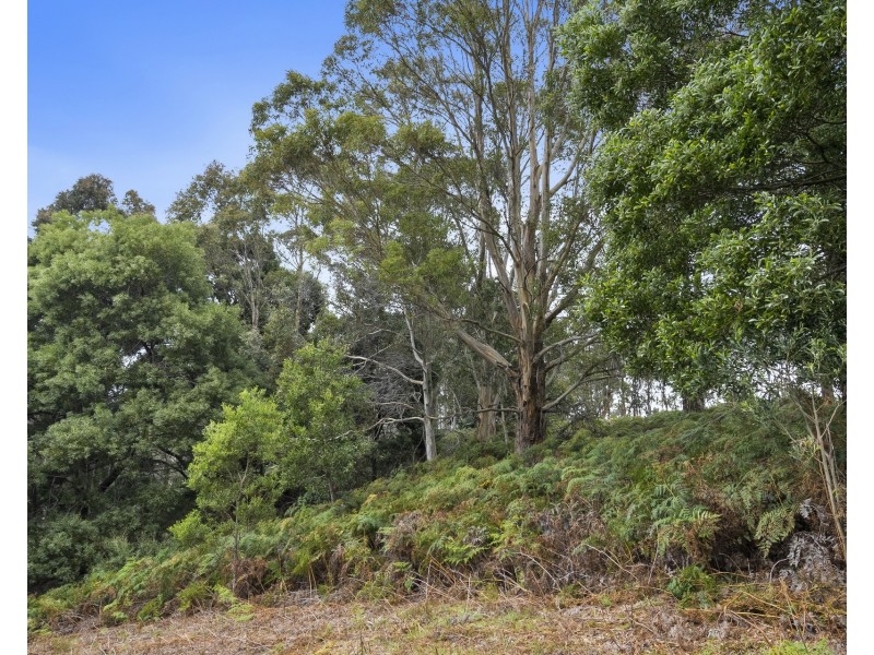 669 Dam Road, Nubeena TAS 7184
