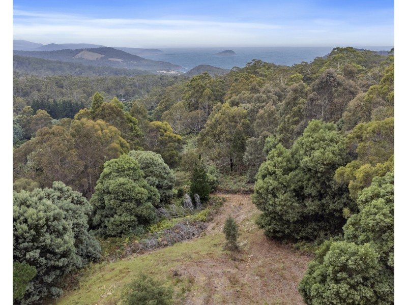 669 Dam Road, Nubeena TAS 7184