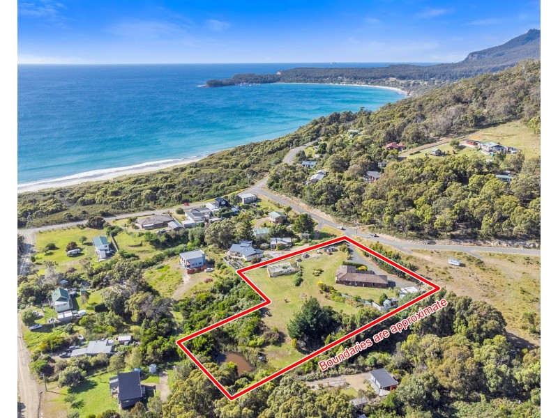 12 Albert Street, Eaglehawk Neck TAS 7179