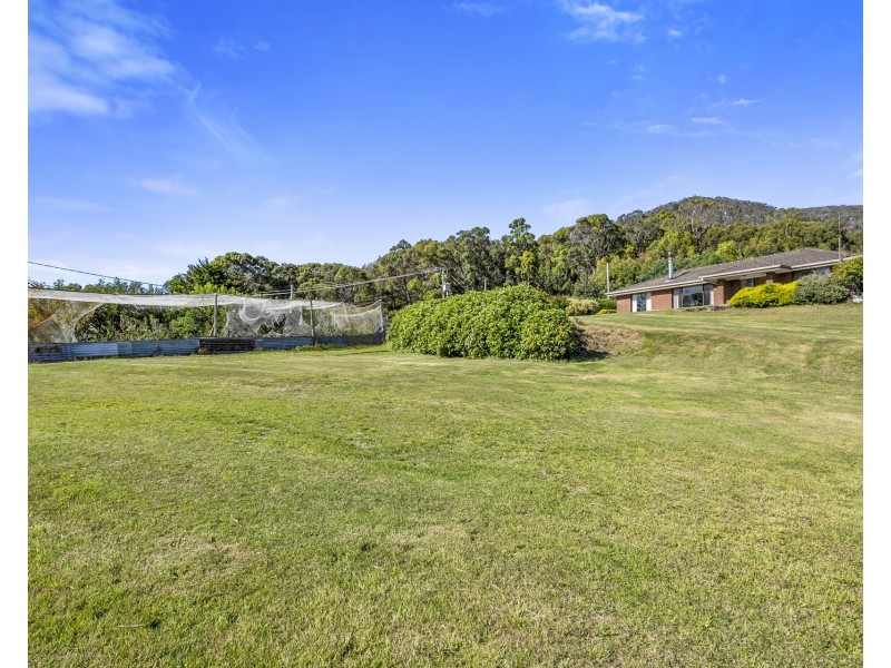 12 Albert Street, Eaglehawk Neck TAS 7179