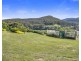 12 Albert Street, Eaglehawk Neck TAS 7179