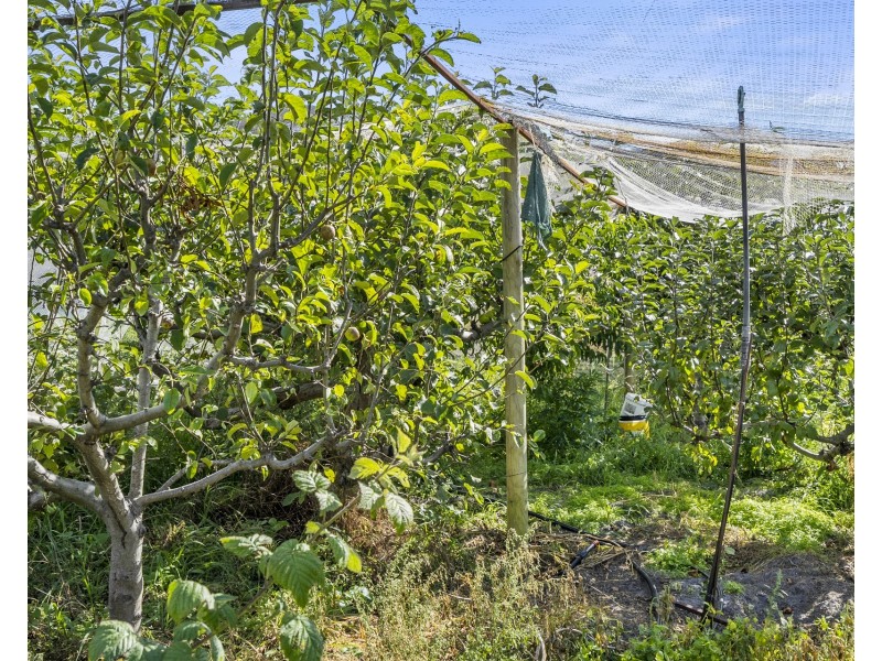 12 Albert Street, Eaglehawk Neck TAS 7179