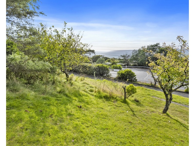 14 Hawks Lane, Eaglehawk Neck TAS 7179