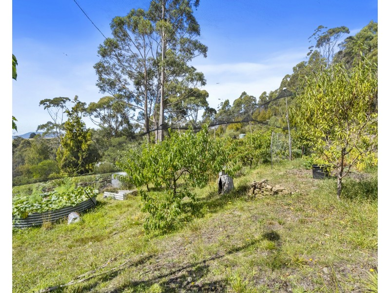 199 Littles Road, Premaydena TAS 7185