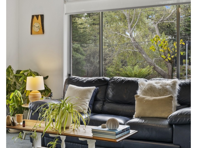 320 Blowhole Road, Eaglehawk Neck TAS 7179