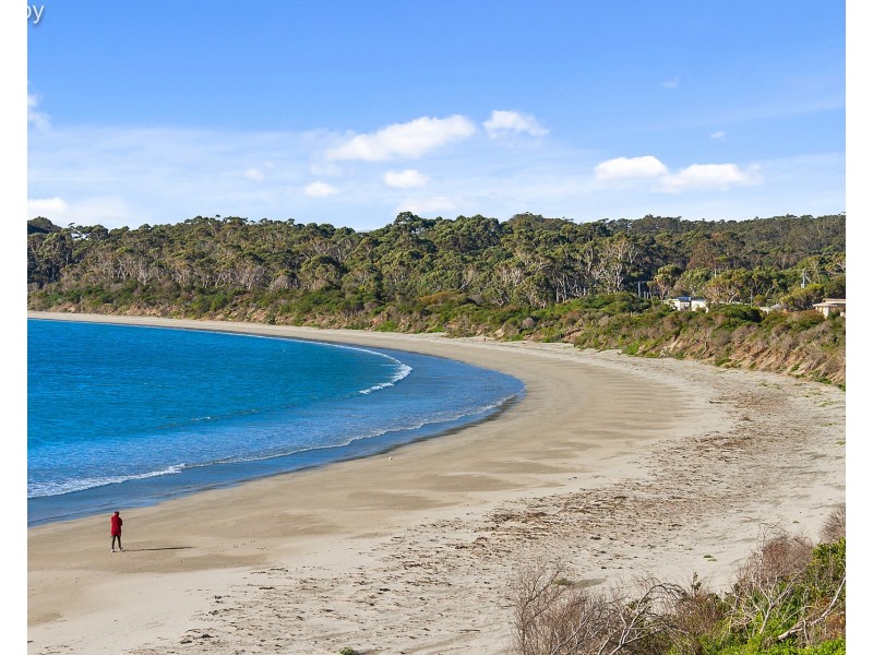 320 Blowhole Road, Eaglehawk Neck TAS 7179