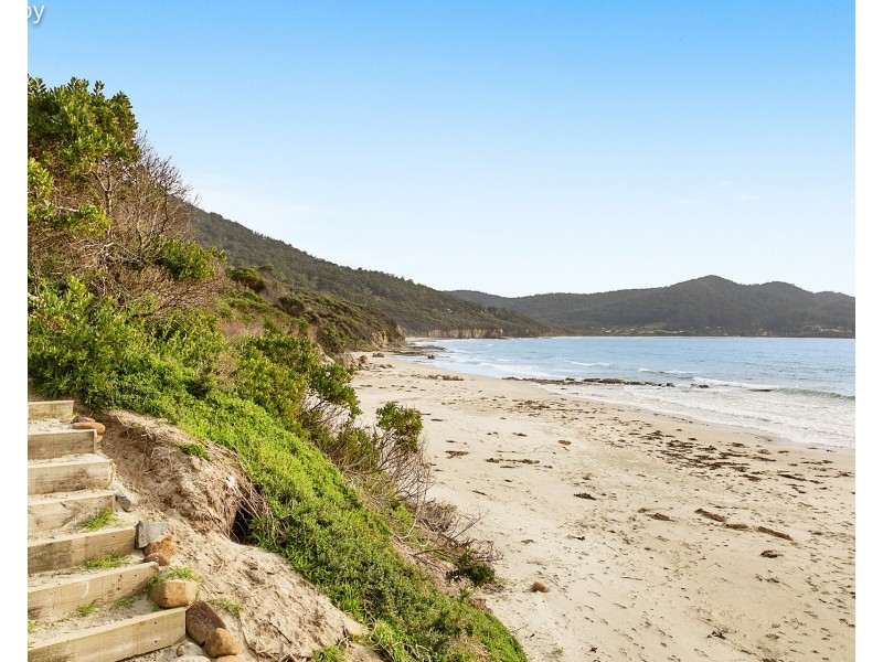 320 Blowhole Road, Eaglehawk Neck TAS 7179
