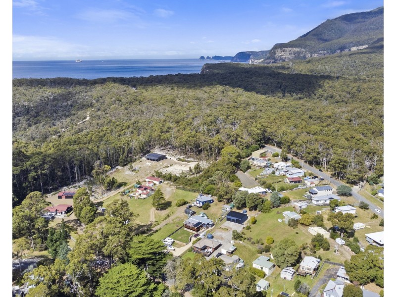 320 Blowhole Road, Eaglehawk Neck TAS 7179