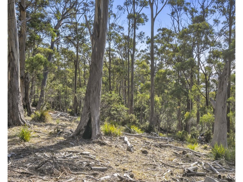 108 Happy Valley Road, Spring Beach TAS 7190