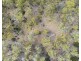 108 Happy Valley Road, Spring Beach TAS 7190