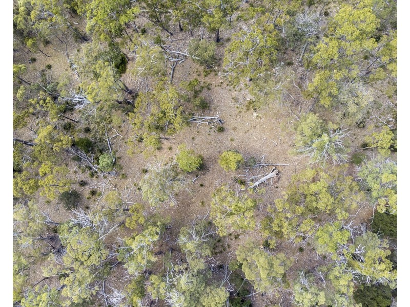 108 Happy Valley Road, Spring Beach TAS 7190