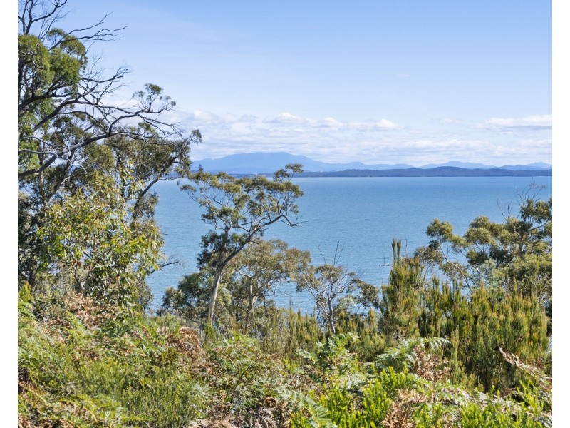 5531 Arthur Highway, Eaglehawk Neck TAS 7179