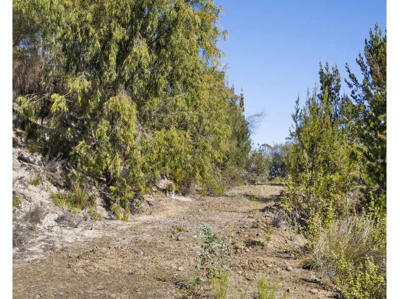 5531 Arthur Highway, Eaglehawk Neck TAS 7179