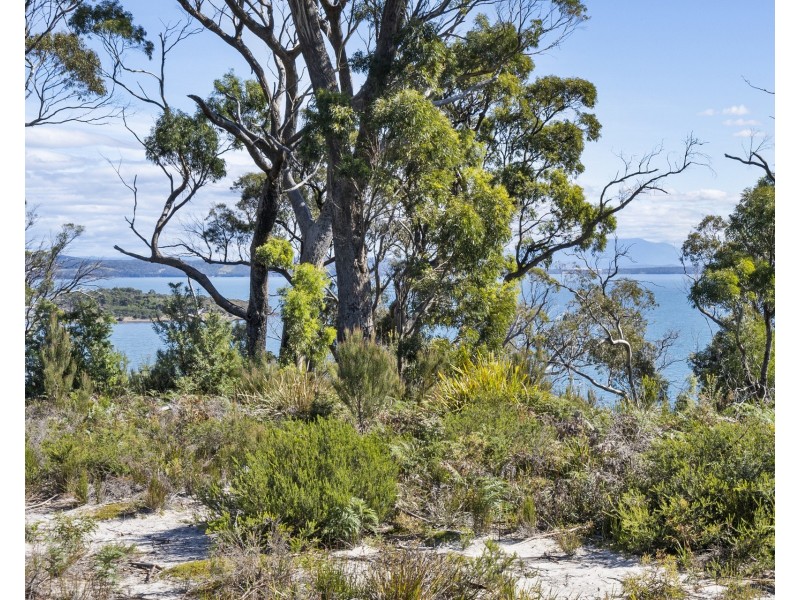 5531 Arthur Highway, Eaglehawk Neck TAS 7179
