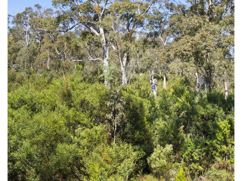 5531 Arthur Highway, Eaglehawk Neck TAS 7179