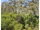 5531 Arthur Highway, Eaglehawk Neck TAS 7179