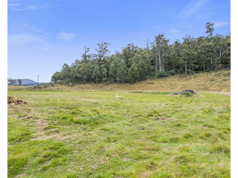 1894 Buckland Road, Woodsdale TAS 7120