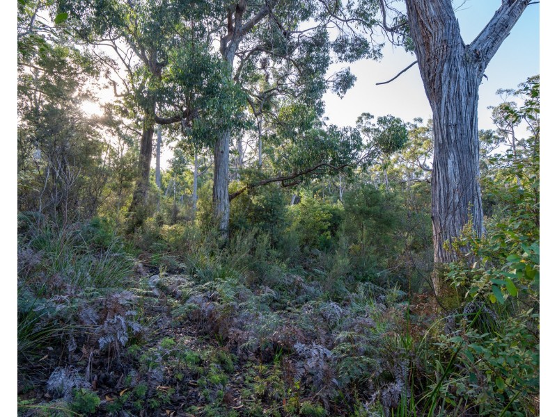 196 Old Jetty Road, Eaglehawk Neck TAS 7179