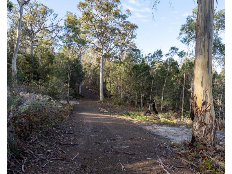 113 Sympathy Point Road, Taranna TAS 7180