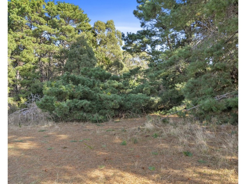 540 Stormlea Road, Stormlea TAS 7184